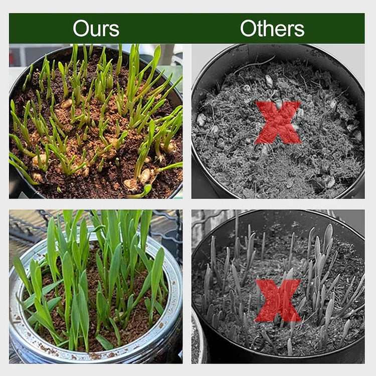 EcoBloom™ Wysokiej jakości organiczne cegły z włókna kokosowego dla roślin