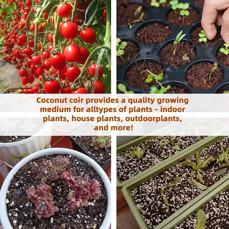 EcoBloom™ Wysokiej jakości organiczne cegły z włókna kokosowego dla roślin