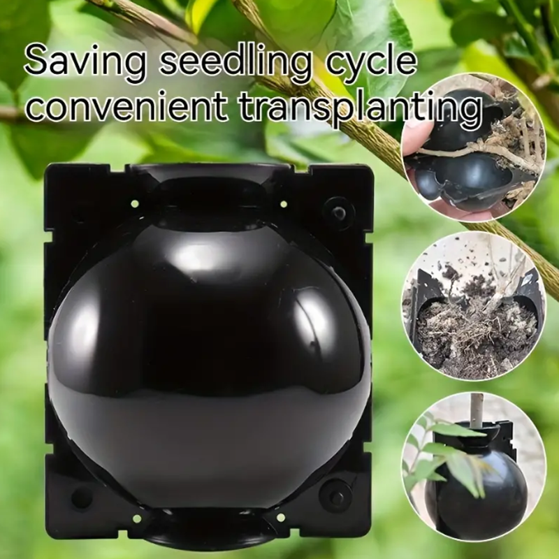 EcoRoot™ Box do wspomagania wzrostu korzeni roślin