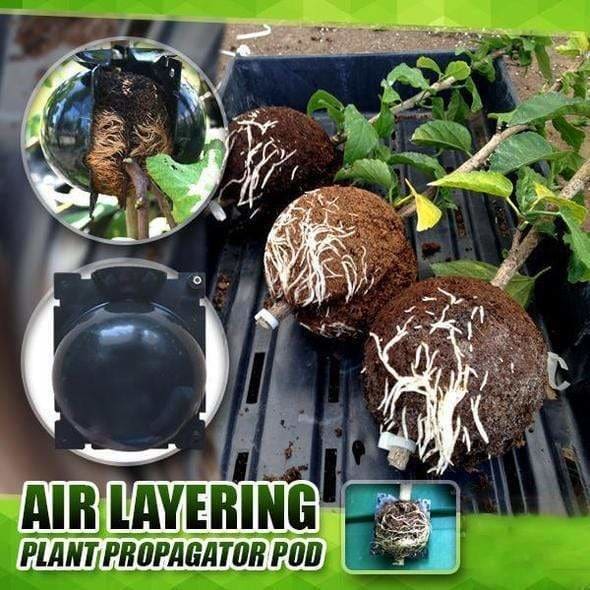 EcoRoot™ Box do wspomagania wzrostu korzeni roślin
