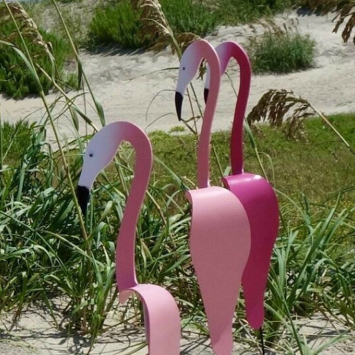 Gardenia Oasis™️ Flaming ogrodowy