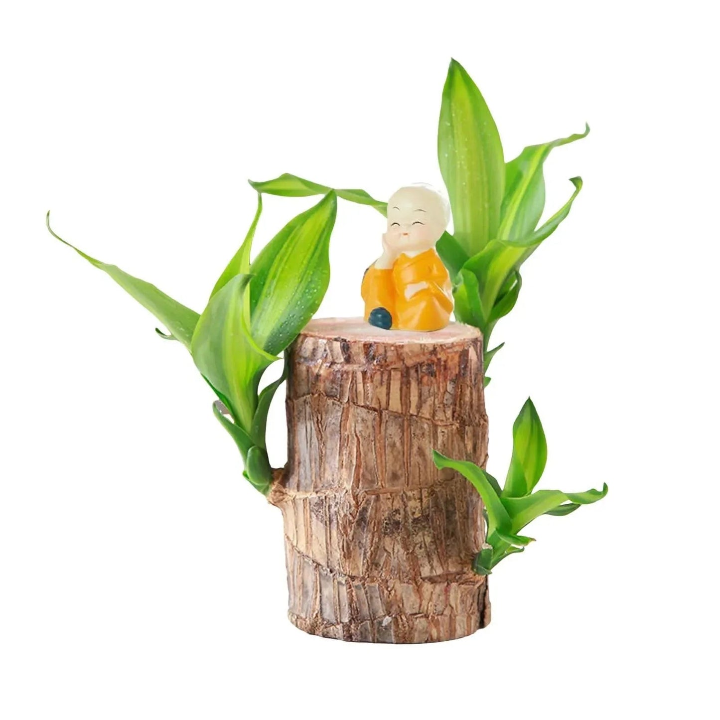 LuckyWood™ Roślina w drewnianej doniczce