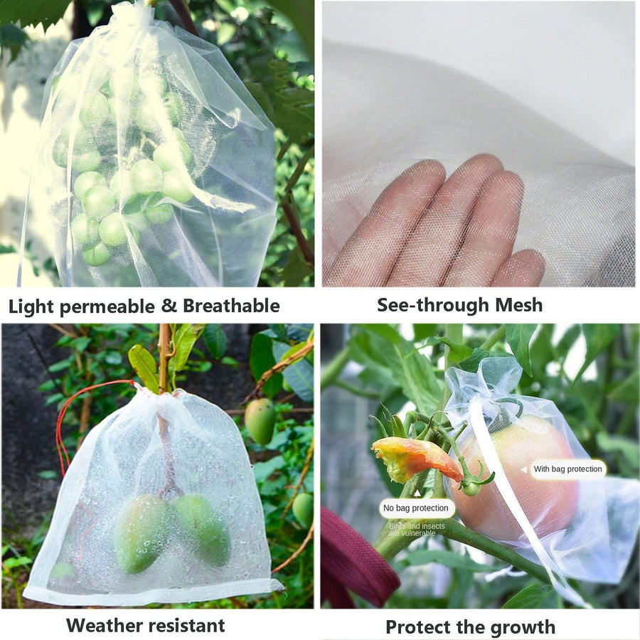 PestSafe™ – Torby ochronne na owoce w sadzie i ogrodzie | Skuteczna bariera przed ptakami i owadami