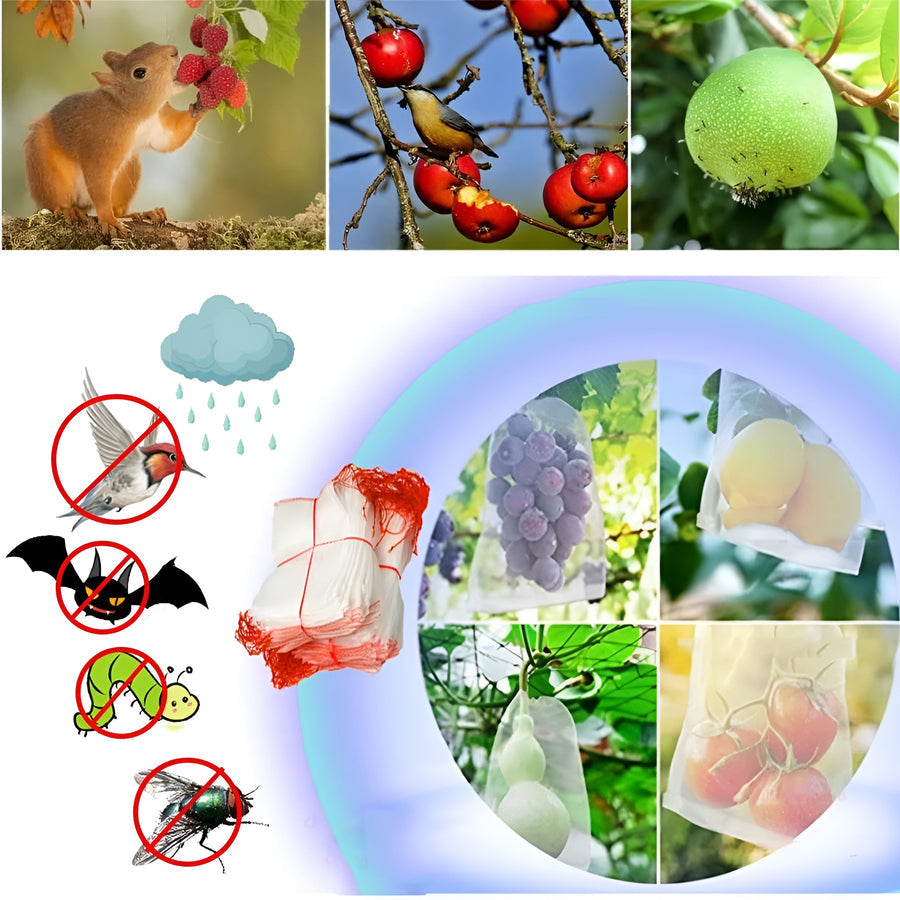 PestSafe™ – Torby ochronne na owoce w sadzie i ogrodzie | Skuteczna bariera przed ptakami i owadami