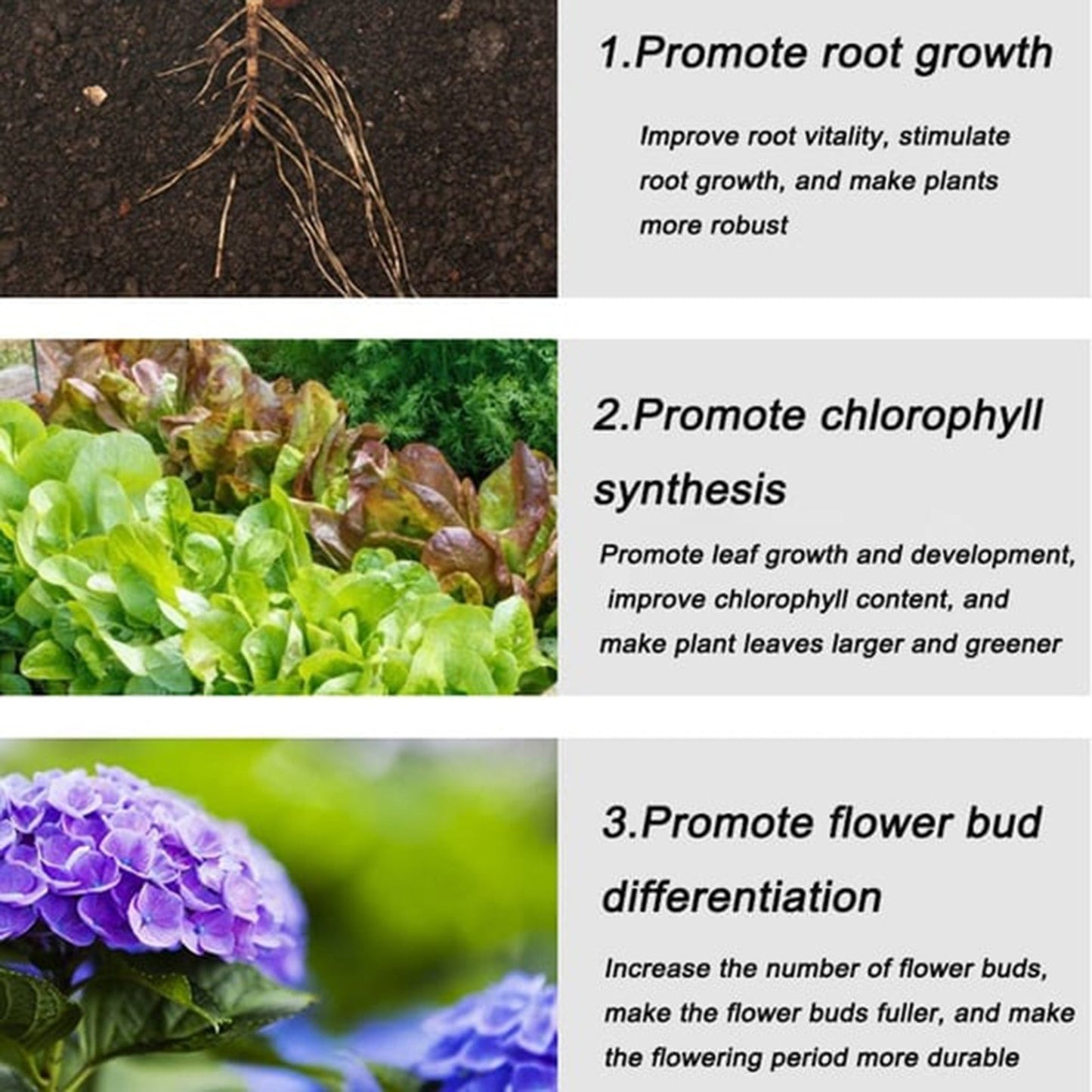 VegiBloom™ Naturalne tabletki do uprawy roślin