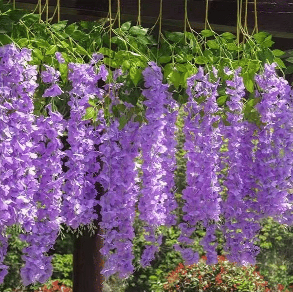 Wisteria™ Sztuczne kwiaty glicynii 12 sztuk