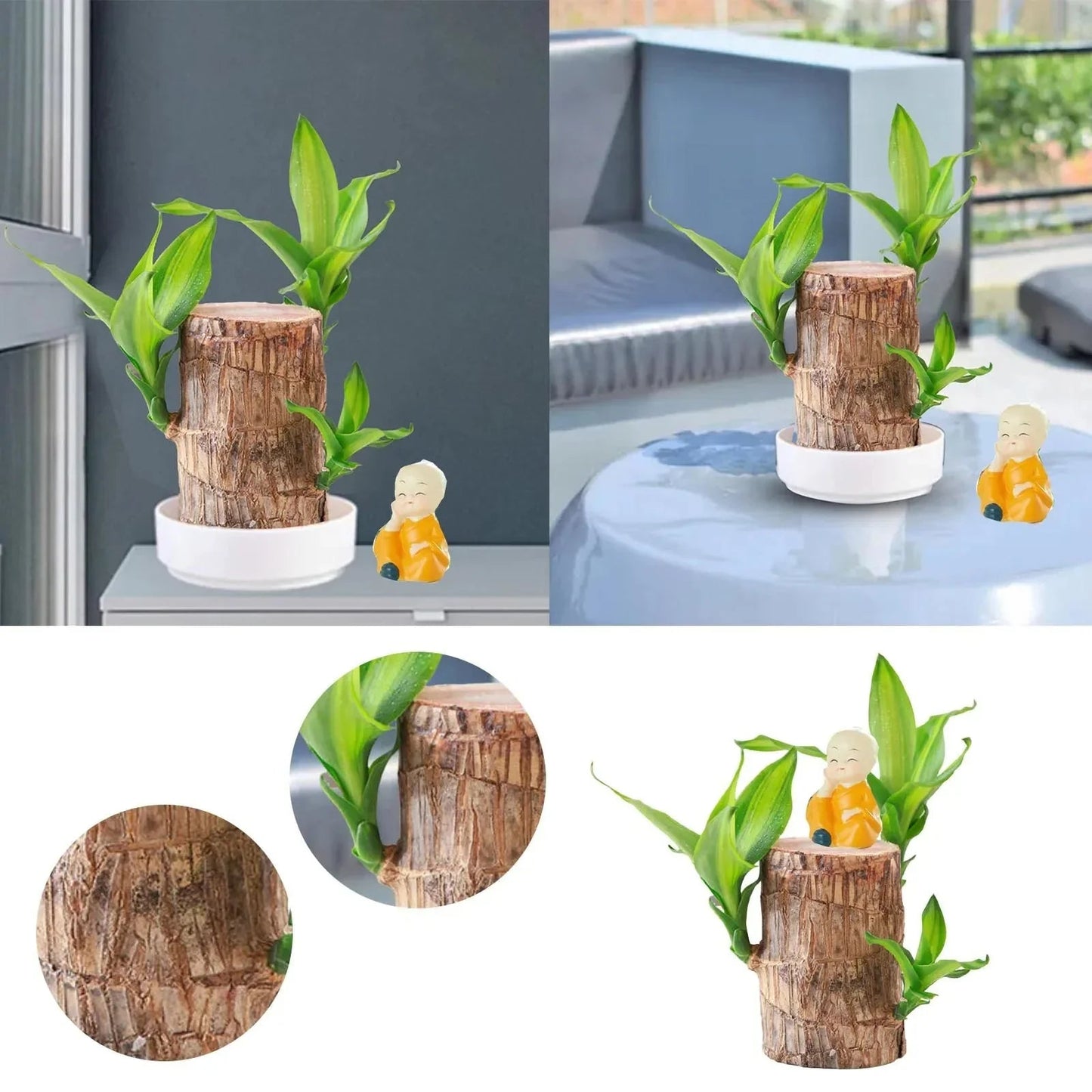 LuckyWood™ Roślina w drewnianej doniczce